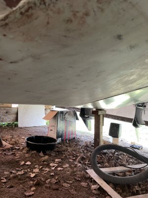 IMG_2347.jpeg