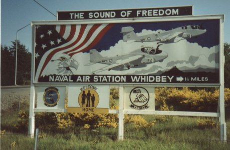 Sound of Freedom.jpg