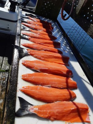 Coho Fillets.jpg