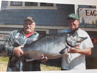 62.5lb spring.jpg