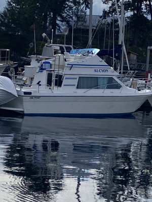 IMG_0014.jpeg