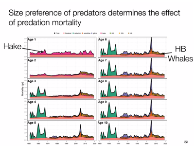 predators2.png