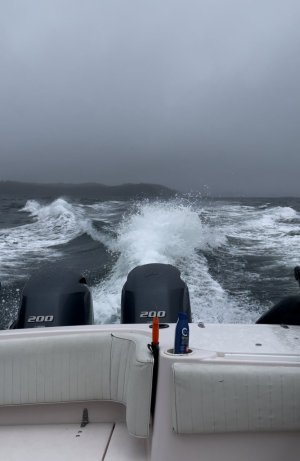 IMG_2834.jpeg