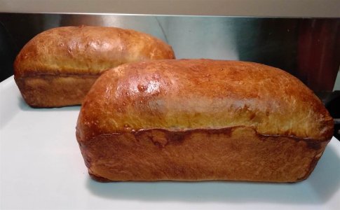 Loaves.jpg