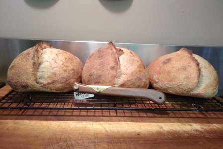 Loaves1.jpg