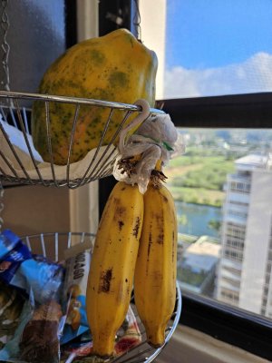 apple bananas and Papayas .jpg