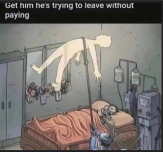 1740335692892.png