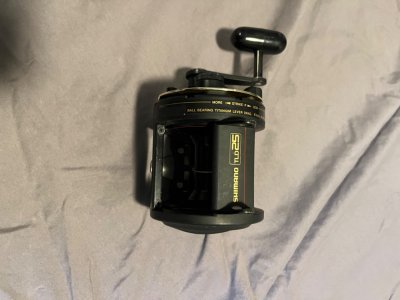 IMG_8274.jpeg