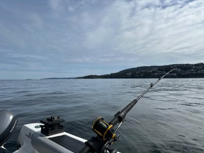 IMG_5970.jpeg