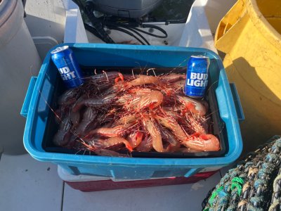 IMG_2702.jpeg