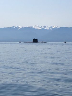 IMG_3966.jpeg