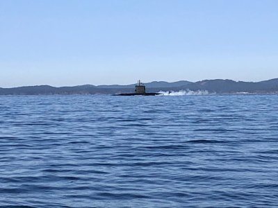 IMG_3965.jpeg