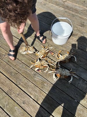 Dock1.jpg