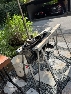 IMG_1873.jpeg