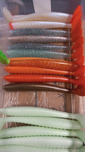 20250417_152349.jpg
