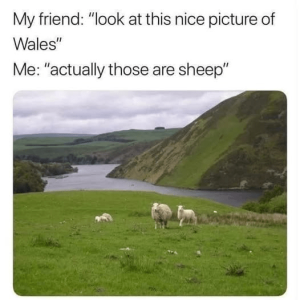 1746656263945.png