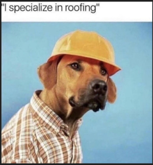 1747406909082.png