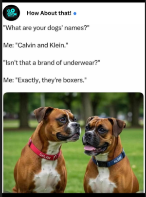 1747407135080.png