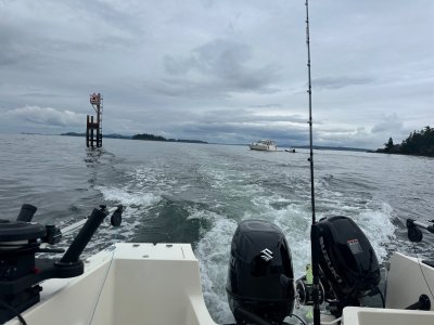 IMG_6732.jpeg