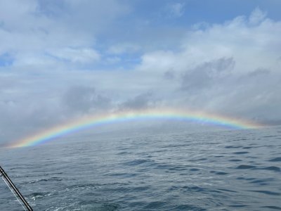 IMG_6750.jpeg IMG_6750.jpeg