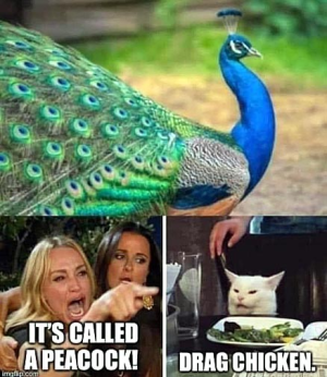drag chicken.png