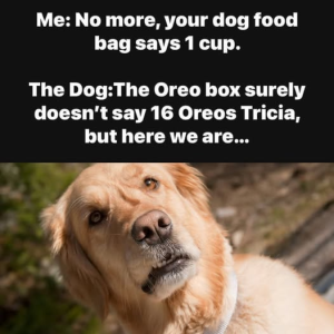 Tricia.png