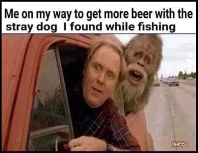 dog.jpg