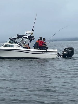 IMG_1105.jpeg