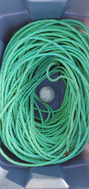 Prawn traps2.jpeg