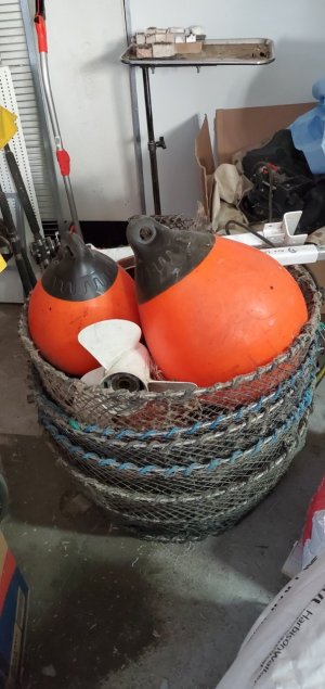Prawn traps3.jpeg