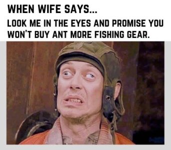 gear.jpg