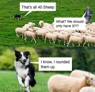 IMG_2647.png