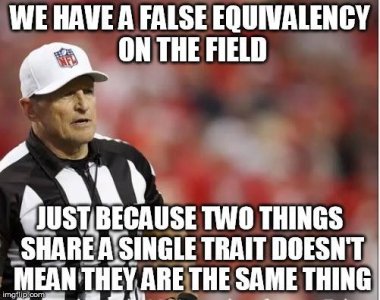 false.jpg