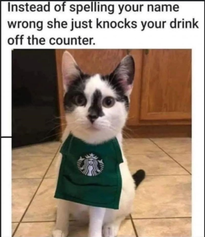 1749855587841.png
