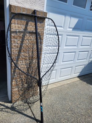 9 ft net.jpg