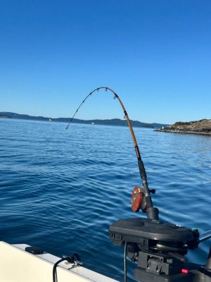 IMG_7331.jpeg