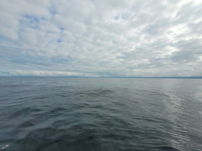 20250628_092549.jpg