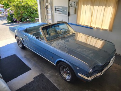 1966 Mustang.jpg