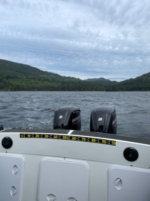 IMG_4474.jpeg