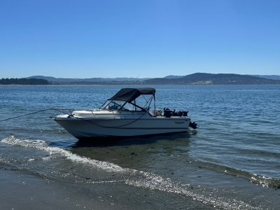 IMG_7350.jpeg