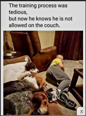 1751730537259.png