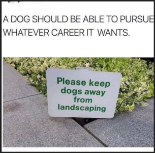 1751826500860.png