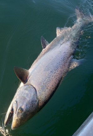 IMG_20250706_073341403_HDR (1).jpg