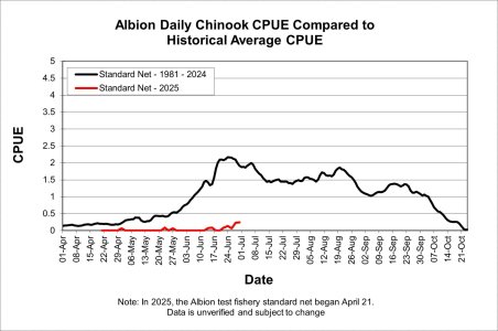 albion-daily-chinook-quinnat-quotidienne-eng.jpg