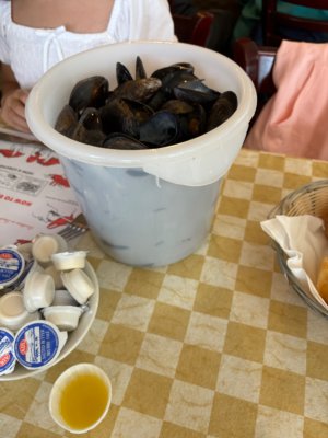 IMG_6363.jpeg
