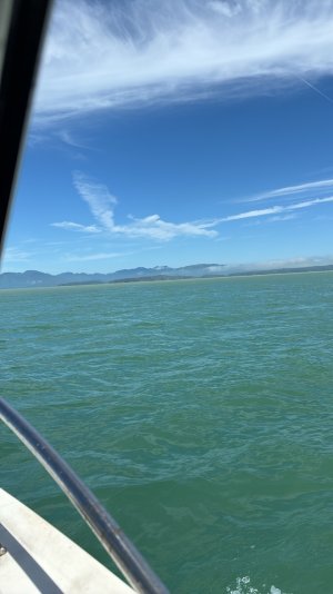 IMG_5501.jpeg