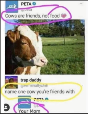 1752185343638.png