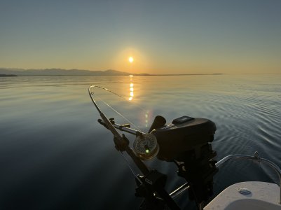 IMG_6596.jpeg