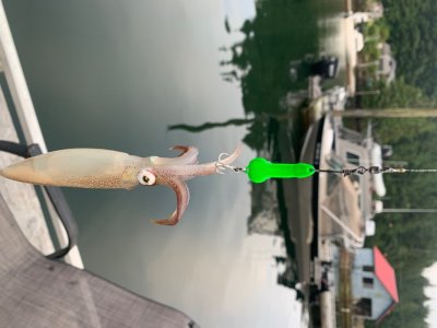 IMG_0794.jpeg