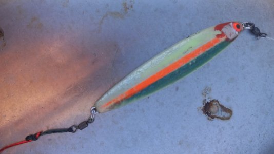 20230803_193147.jpg